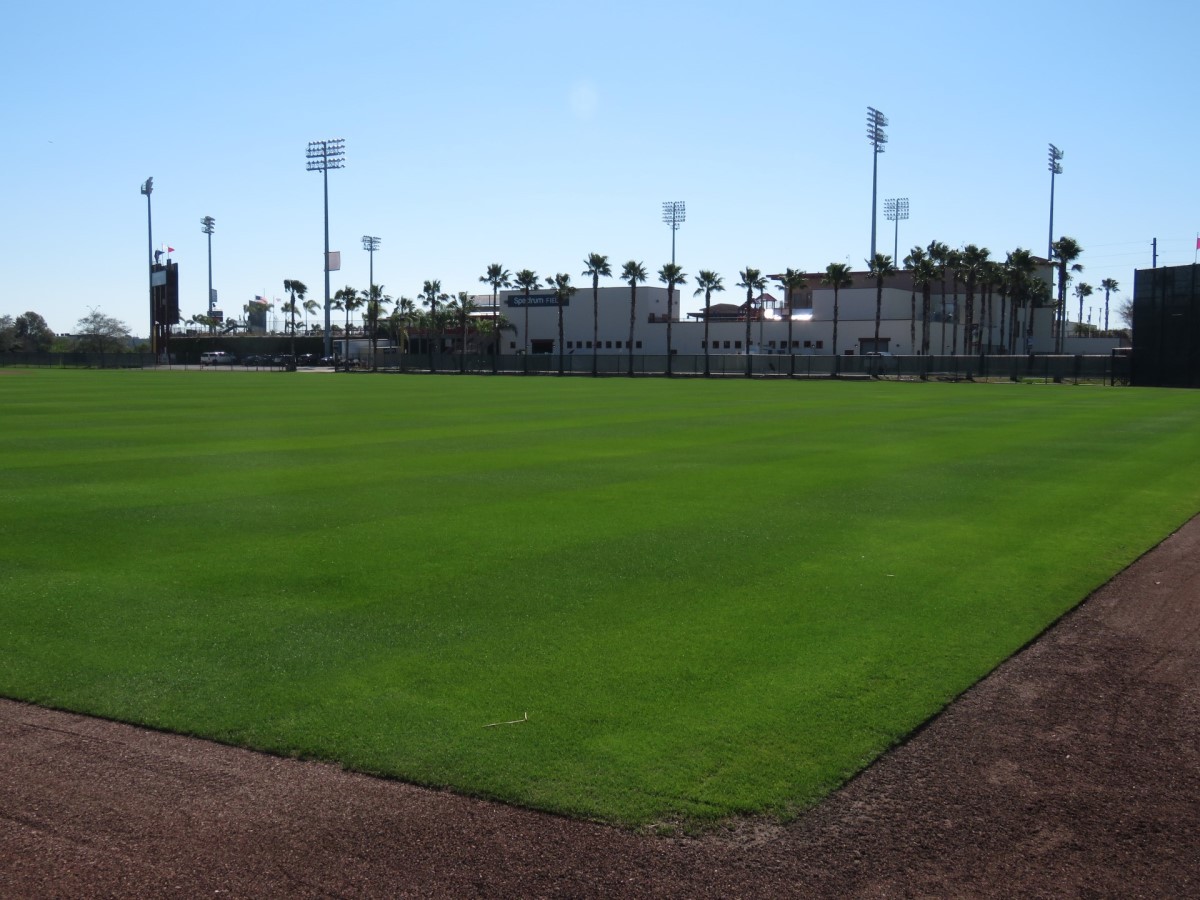 Explore BayCare Ballpark home of the Clearwater Threshers