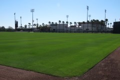 Carpenter Complex and BayCare Ballpark