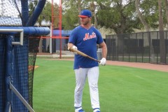 Spring Training Pete Alonso