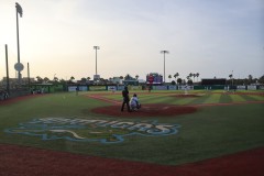 Dunedin Blue Jays vs Daytona Tortugas